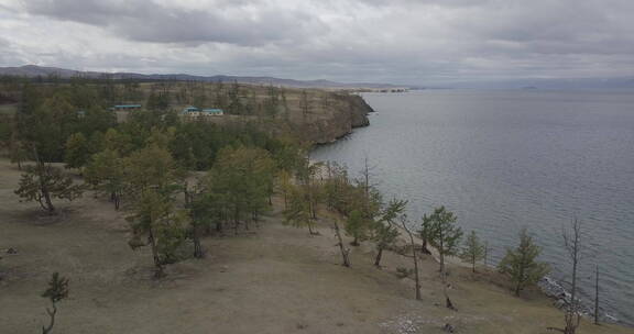 俄罗斯西伯利亚贝加尔湖树木