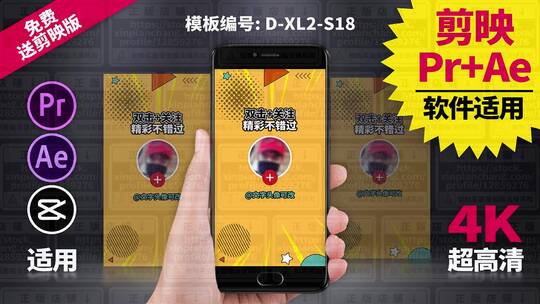 结尾关注视频模板Pr+Ae+抖音剪映 D-XL2-S18AE视频素材教程下载