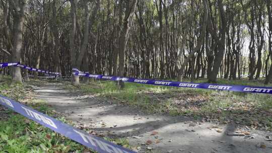 林间山地自行车骑行赛事