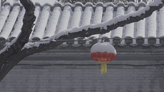 北京冬天生活 冬天街道