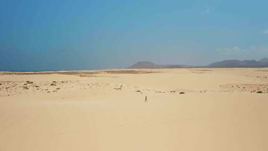 Corralejo，沙丘，加那利群岛，大