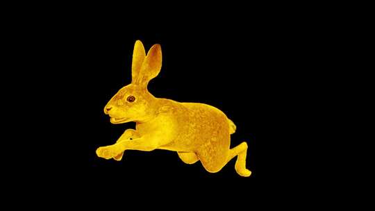 玉兔奔跑路径动画2，alpha通道素材