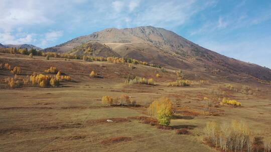 新疆阿勒泰禾木乡秋天树林村庄自然风光