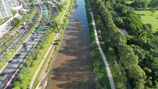 深圳南山区大沙河生态长廊视频素材模板下载