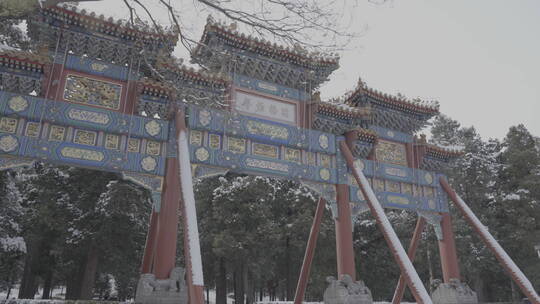 北京雪景 北京下雪