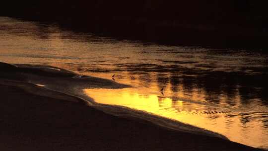 夕阳下的黄河滩航拍
