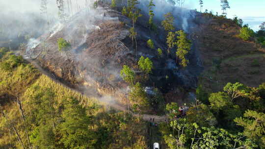 多米尼加共和国雨林戏剧性的燃烧火灾场景。
