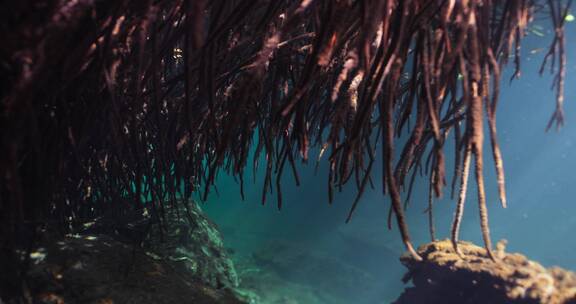 深海湖泊潜水水下水底拍摄