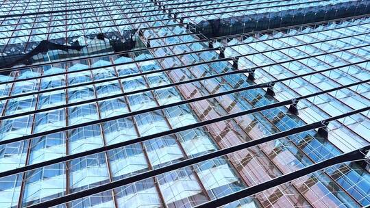 航拍大棚种植基地 农业