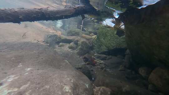 清澈的山涧溪水水下高速升格4K镜头视频素材模板下载