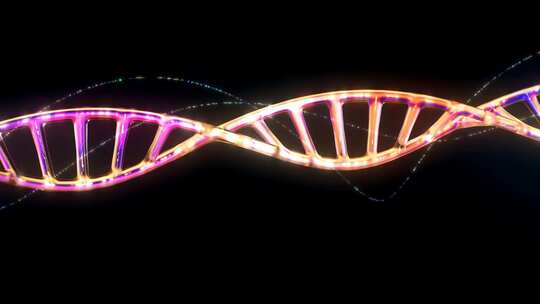 原创三维DNA分子动画,黑色背景可去