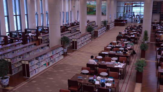 图书馆 公共图书馆 大学图书馆视频素材模板下载