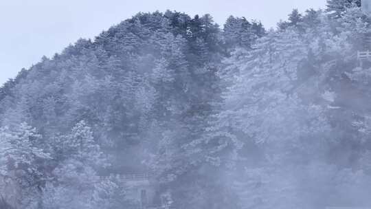 平顶山尧山雪后云海