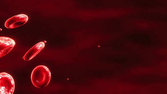 血液细胞红细胞
