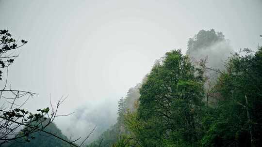 武当仙山中国山水水墨视频素材模板下载