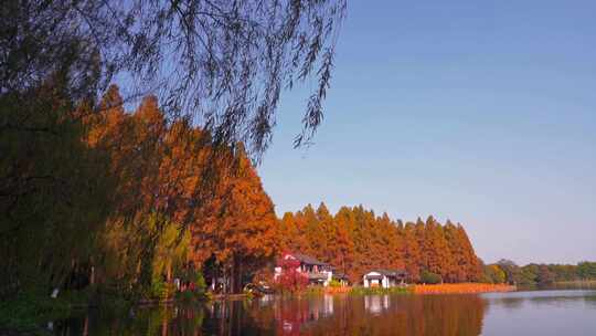 杭州西湖秋天建筑风景