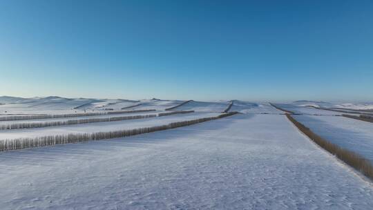 内蒙古雪域雪原田野雪景风光