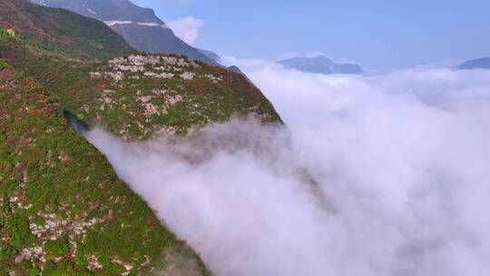 重庆巫山三峡红叶美景