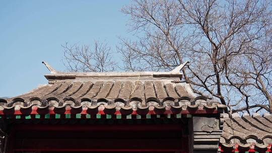 北京四合院胡同冬日街景