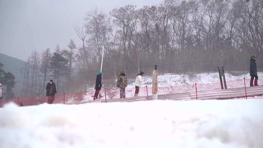 滑雪场 滑雪人群 雪上运动 单板双板