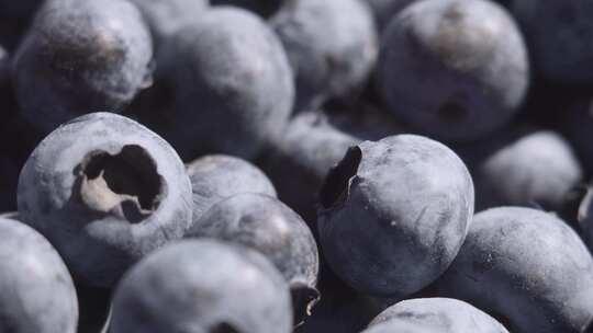 天然健康蓝莓水果