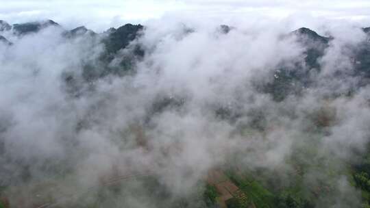 大雾清晨云雾大山云海森林自然云山脉山区