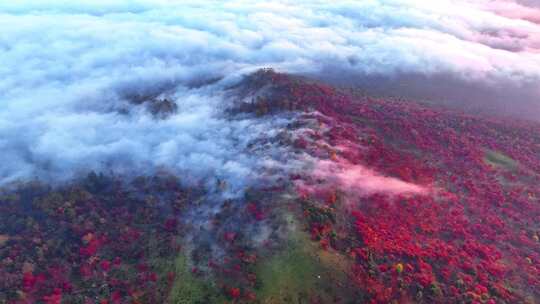 4K秋天五花山吉林东北秋景日出云海云雾逆光