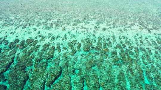 航拍海景的海洋海滨海滩航行的透明海与白色的沙质背景