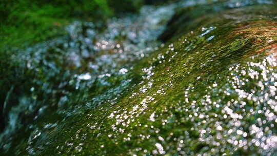 森林溪水流水花清澈山泉青苔藓小溪泉水