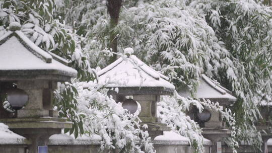 下雪飘雪大雪冬至 中式庭院雪景视频素材模板下载