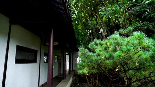 江南园林雨天屋檐雨滴水滴下雨意境