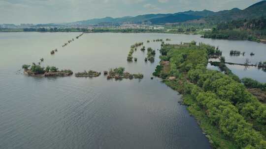 乡村振兴云南昆明滇池南岸湿地