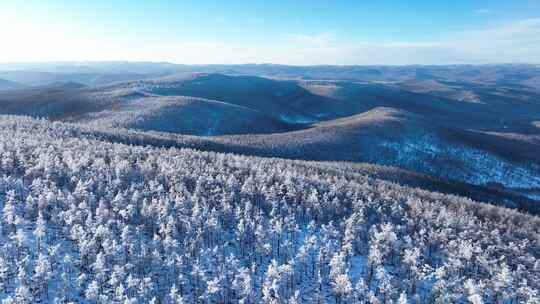 林海雪原 唯美高山雾凇