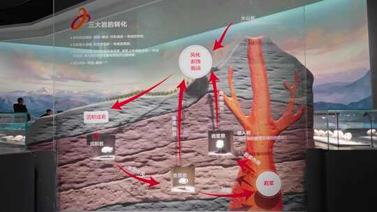 成都自然博物馆室内标本化石矿产矿石实时