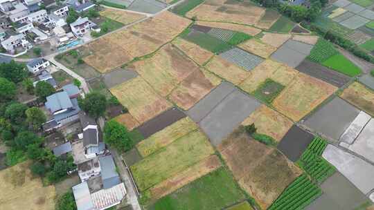 四川广汉平原土地乡村