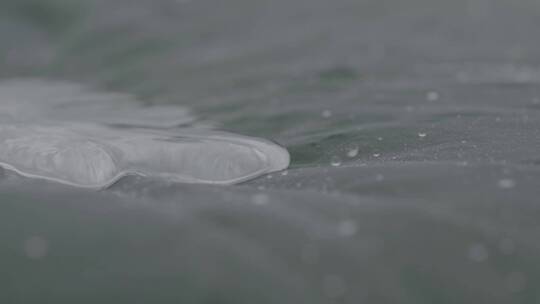大雨中的荷叶水滴慢镜头LOG视频素材模板下载