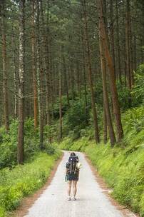 影灯镇 心理恐惧 阴影和弦 诡异氛围 影灯镇 心理恐惧 阴影和弦 诡异氛围