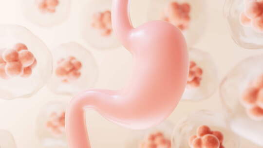 胃部与生物细胞背景3D渲染