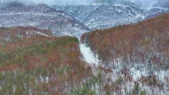 4k航拍车辆行驶在雪后的山林中