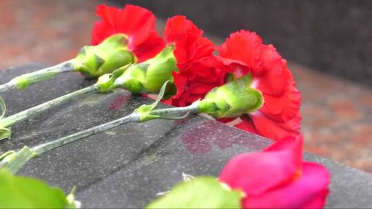 红色康乃馨躺在士兵纪念碑的花岗岩板上。