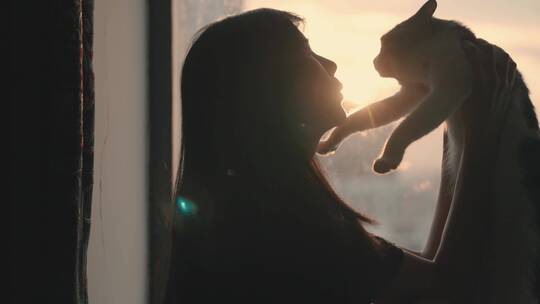 夕阳的落地窗边女孩与宠物猫玩耍剪影4k视频