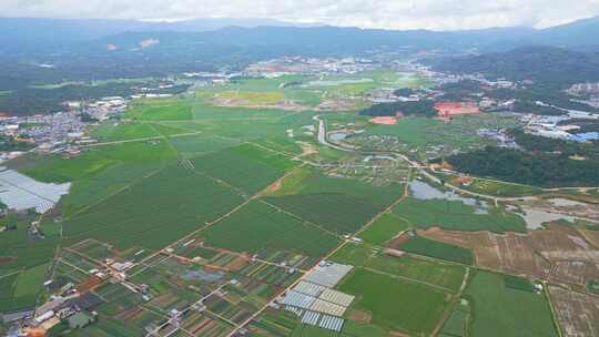 航拍西双版纳村庄农田田园风光