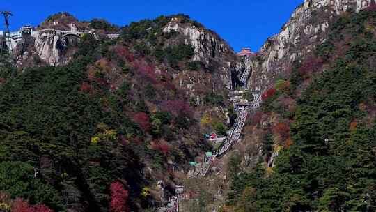 泰山对松山的秋色