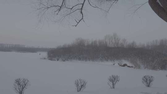 沈阳丁香湖雪景银装素裹的雪后树林景色