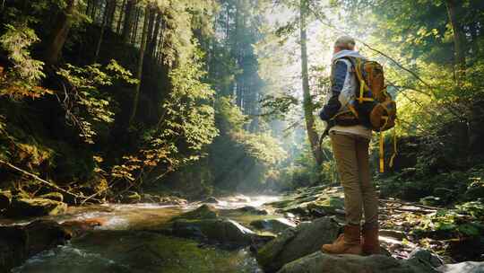 森林自然旅行丛林树林山林爬山徒步呼吸探险视频素材模板下载