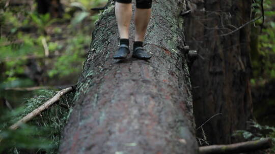 女人走过森林里倒下的木头