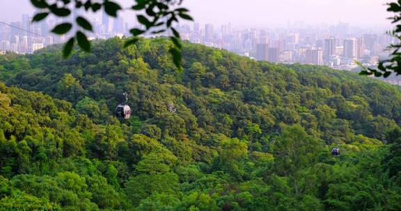 广州白云山风景名胜区山谷树林与索道缆车