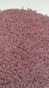 4K五谷杂粮优质紫薯米