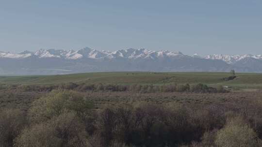 草原雪山自然风光全景