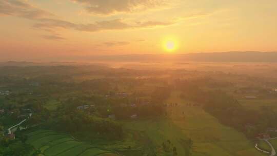 夕阳稻田航拍